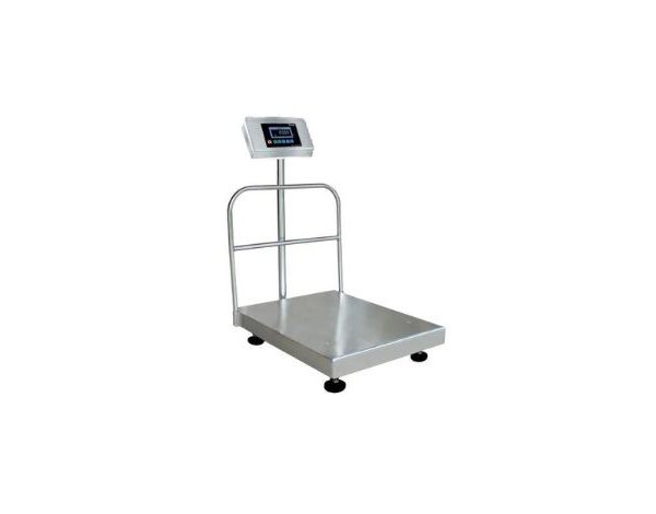 Industrial Platform Scale