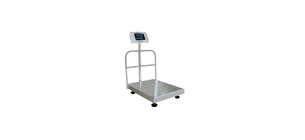 Industrial Platform Scale